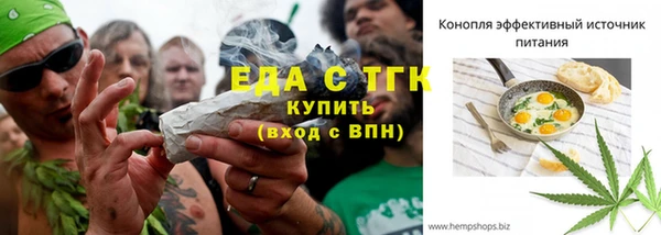 молекула духа Пестово