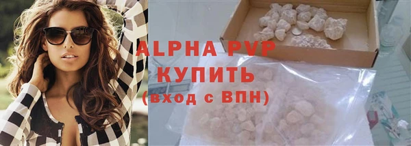 молекула духа Пестово