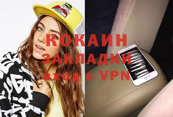 молекула духа Пестово