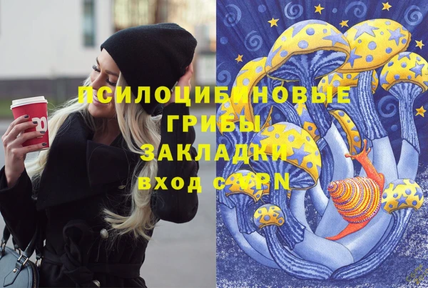 первитин Покачи