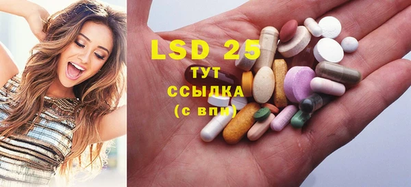 прущие грибы Кадников
