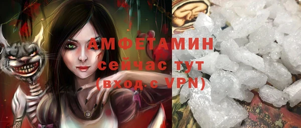 молекула духа Пестово